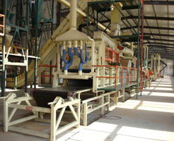 Particle-Board Production Line 
