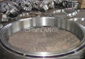 Flange ANSI B16.1- Industry Standard -