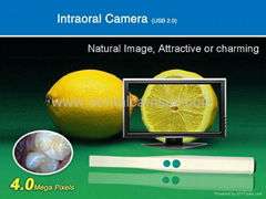 4.0USB Intraoral camera /Dental Camera/Oral camera