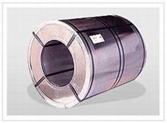 Cold Rolled Stainless Steel Coil (Grade 304)
