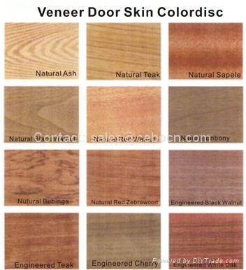 Veneer Door Skin VDS-8007 2