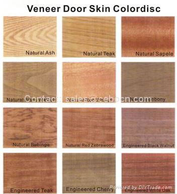 Veneer Door Skin CA-V17 2