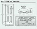 Veneer Door Skin CA-V17 3