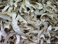 Dried sliced Matsutake