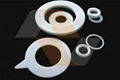 PTFE Gasket