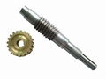 Worm Gear Set