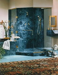 shower door