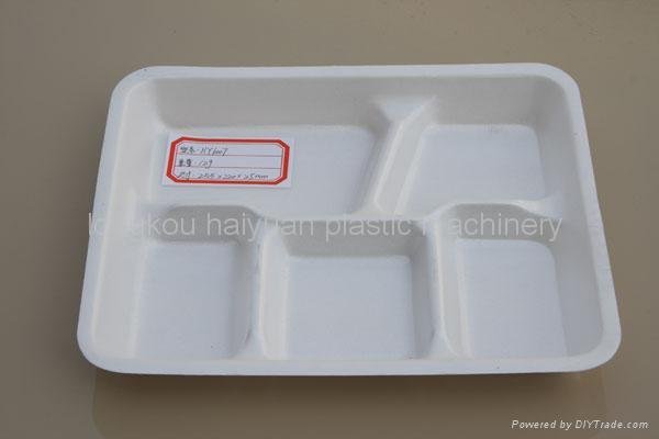 PS Foam Food Container Vaccum Forming Machine  5