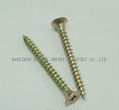 Chipboard Screw 1