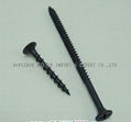 Chipboard Screw 5