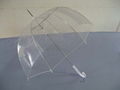 Transparent PVC umbrella 1