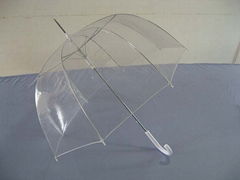 Transparent PVC umbrella