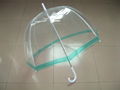 Transparent PVC umbrella 2