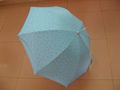 Double-layer color spotting umbrella 2