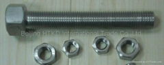 AISI 304,316 stainless steel bolts