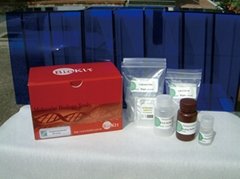 Clean and Gel Extraction Kit