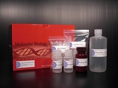 Tissue & Cell Genomic DNA Purification Kit