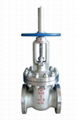 API Gate Valve 1