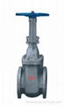 DIN Rising Stem Gate Valve 1