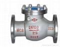 Russia Standard Check Valve 1