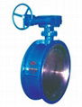 ANSI Flange Butterfly Valve 1