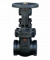 ANSI 125 Screw Type Non- Rising Stem Gate Valve