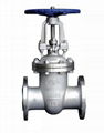 Stainless Steel Gate Valve 1