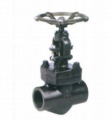 Class 150-1500 Forged Steel Gate Valve