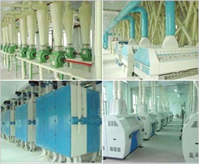 flour milling machine, flour milling plant, wheat milling machine, flour machine