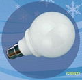 LED燈，LED BULB 1