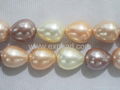 Loose South Sea Shell pearl strand 5