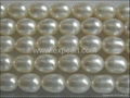 Loose Freshwater Pearl Strand