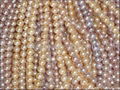 Loose Freshwater Pearl Strands 2