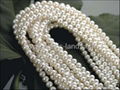 Loose Freshwater Pearl Strands 1