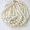 Shell Pearl Strand 1