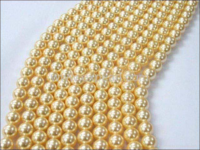 Shell Pearl Strand 2