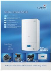 Wall Hung Boiler(B2 Series)