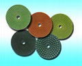 Flexible Polishing Pads