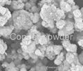 銅粉 Copper Powder