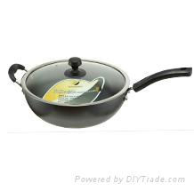 Health Cast Iron Pan, Non-Stick Cast Iron Fry Pan