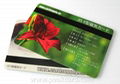 Magnetic Stripe Cards Printing 5