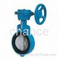 Butterfly valves 1