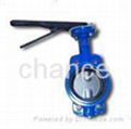 Butterfly valves 2