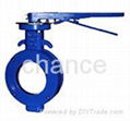 Butterfly valves 4