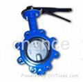 Butterfly valves 5