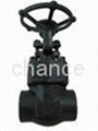 gate valve