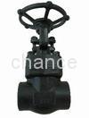 gate valve