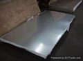Stainless Steel Sheet/Plate 