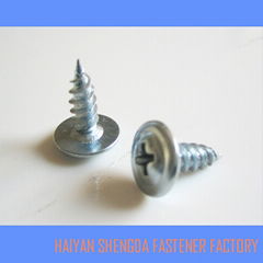 Self Tapping Screw