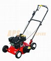 gasoline lawn mower,135cc/3.75HP,side